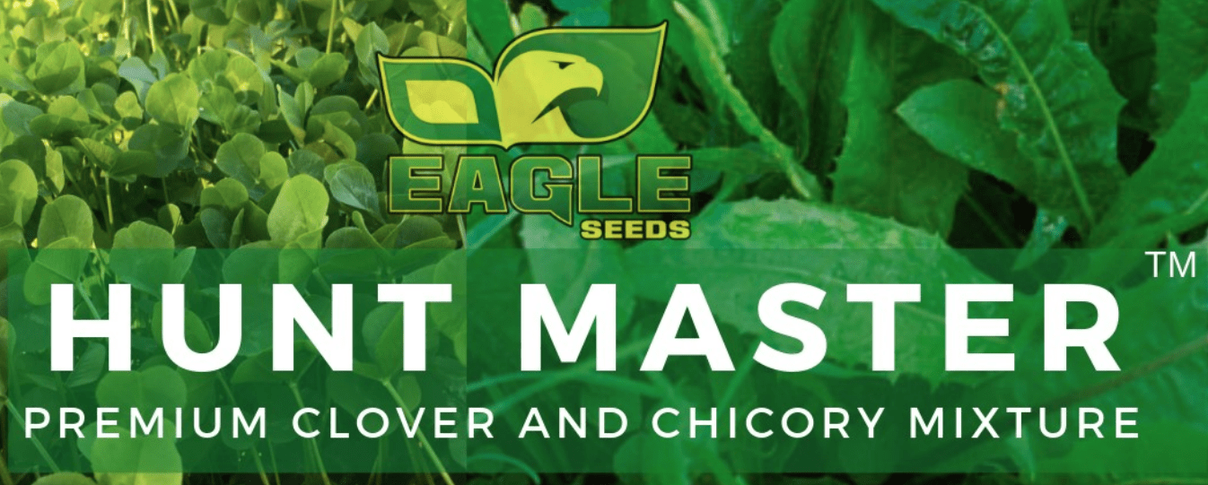 Eagle Seed - Hunt Master® - Perennial Chicory and Clover - Hale Habitat & Seed
