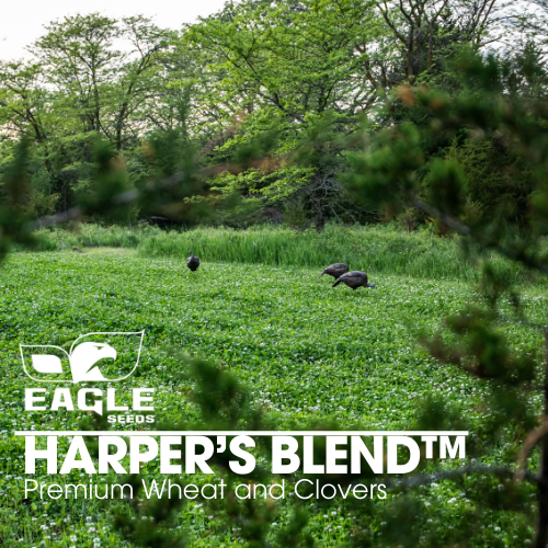 Eagle Seed - Harper's Blend™