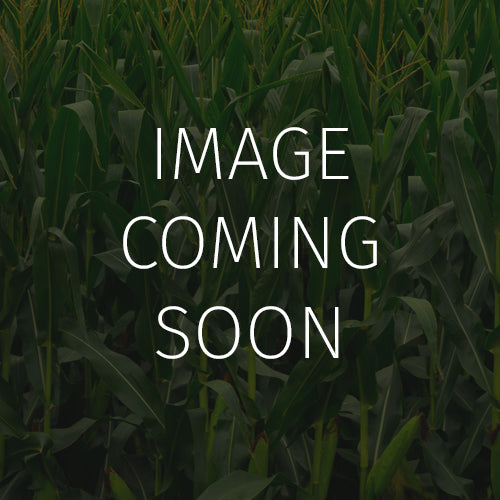 Organic Fall Food Plot Blend