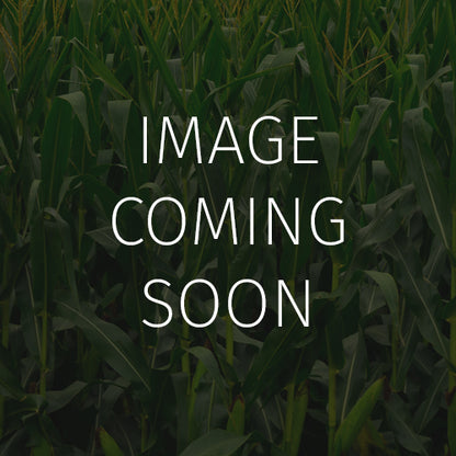 Organic Fall Food Plot Blend