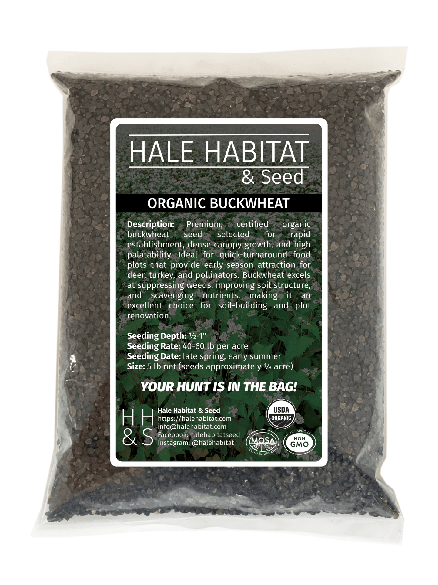 planting buckwheat seed Certified Organic Buckwheat: Fast-Growing Summer Forage, 50 lb (Bulk)