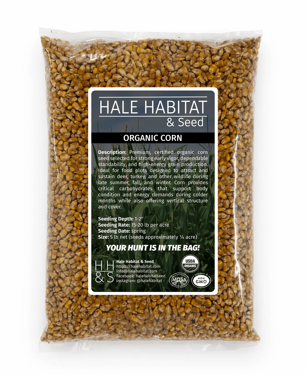 Organic Corn Food Plot Seed for Wildlife - Hale Habitat & Seed