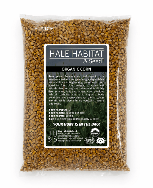 Organic Corn Food Plot Seed for Wildlife - Hale Habitat & Seed