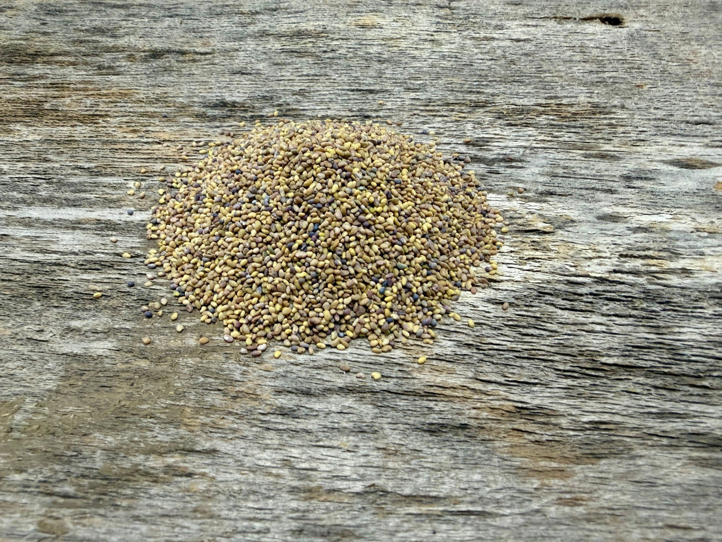 food plot seed for spring planting Certified Organic Spring Food Plot Blend for Early Growth – Hale Habitat & Seed