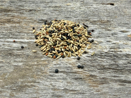 Organic Winter Food Plot Blend - Hale Habitat & Seed