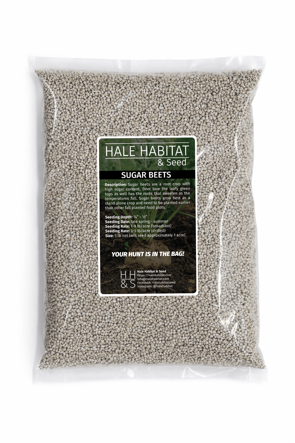 beet seed planting depth 5 lb / Coated