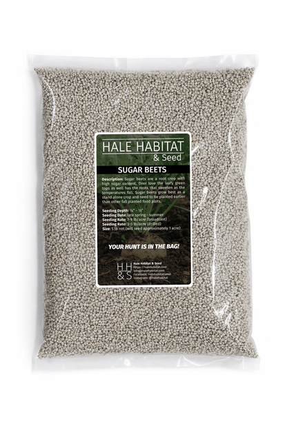 Sugar Beet - Hale Habitat & Seed