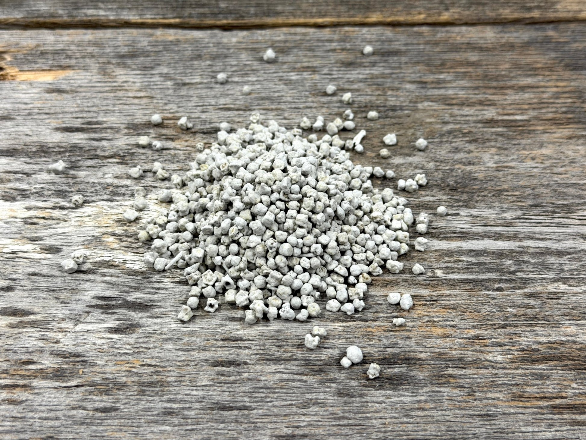 Sugar Beet - Hale Habitat & Seed