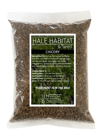 Chicory - Hale Habitat & Seed