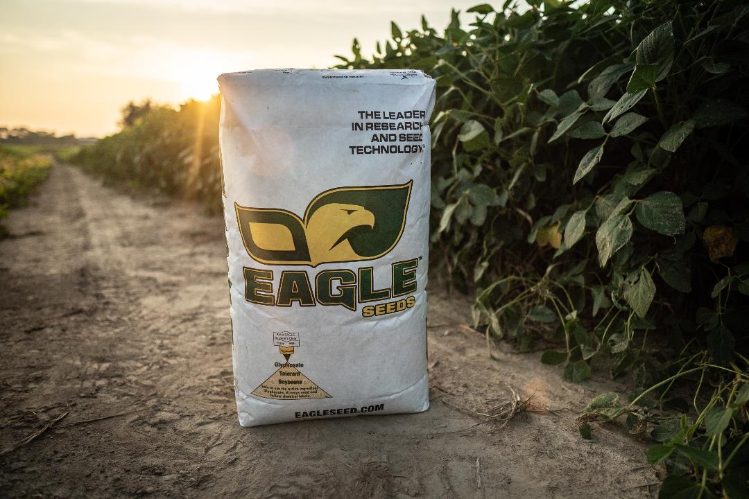 Eagle Seed - Large Lad® Forage Soybeans